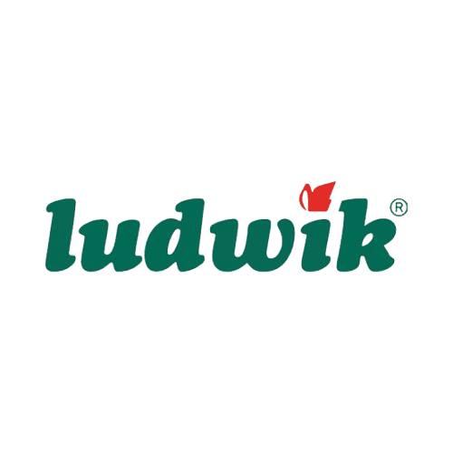 Ludwik